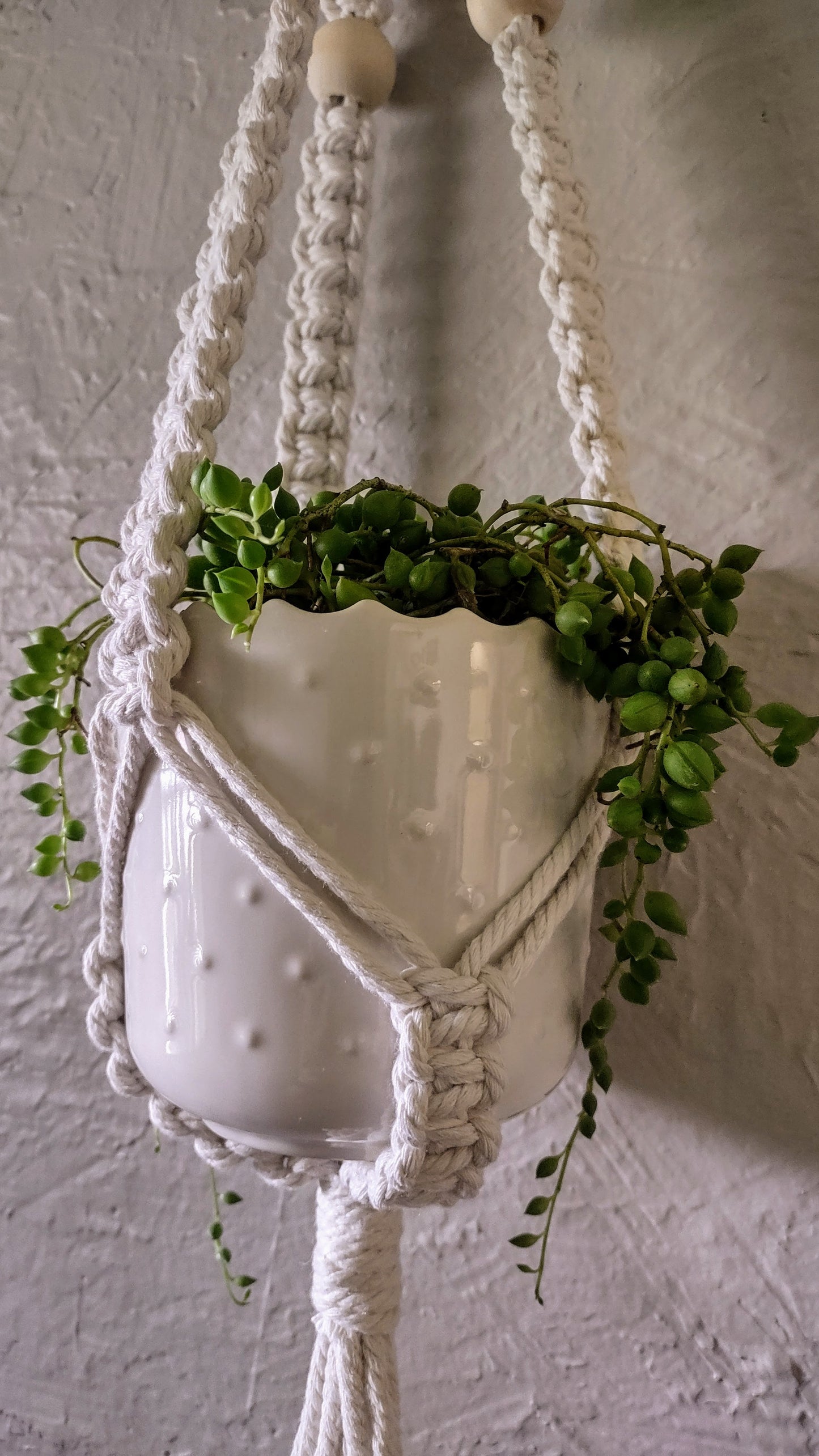Take'n'Make Macramé Plant Hanger