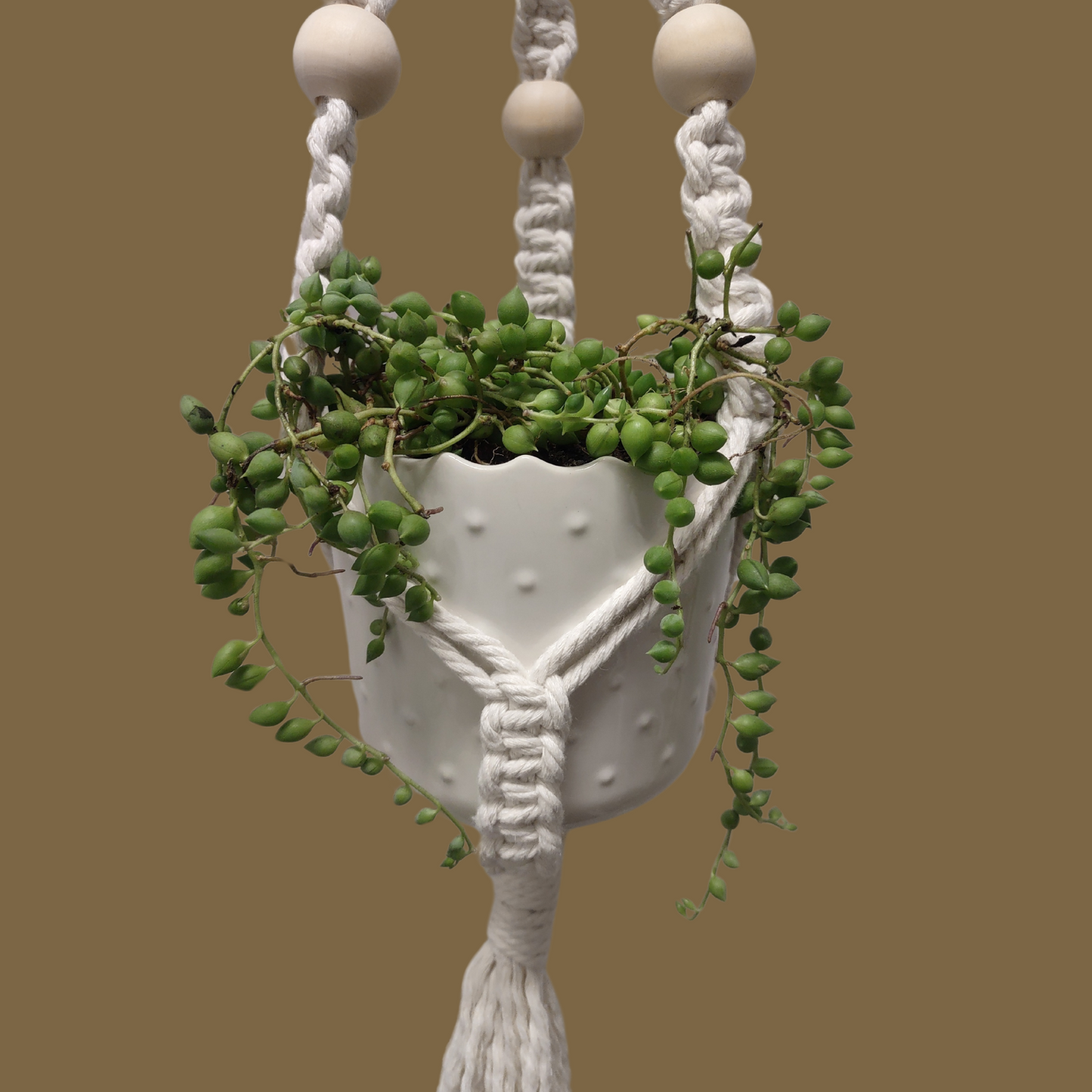 Macramé Plant Hanger