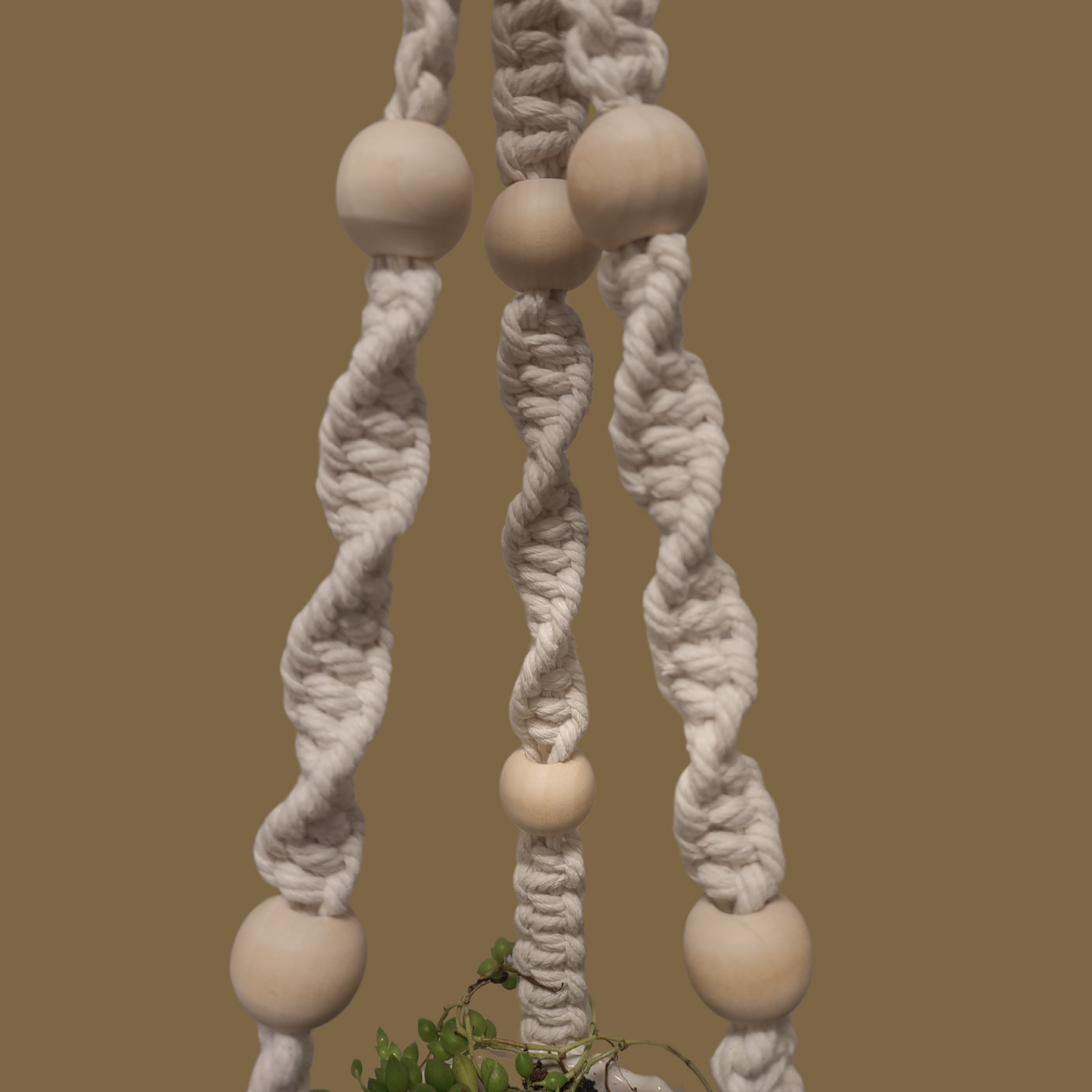 Macramé Plant Hanger